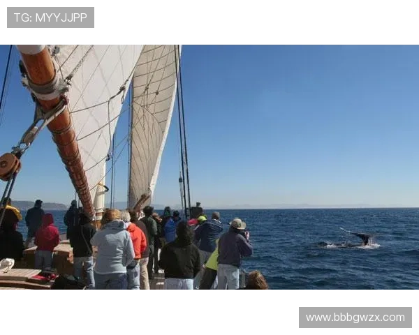 加州娱乐平台:深入了解加州娱乐平台的安全保障措施与用户隐私保护