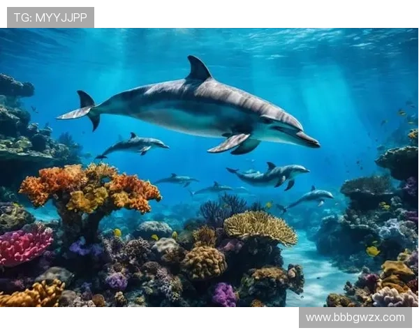 大众娱乐在线:多平台同步推送让你随时随地沉浸在娱乐的海洋中